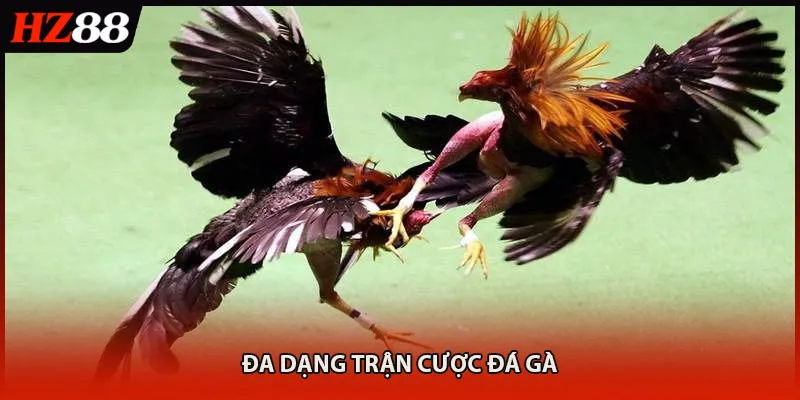 Danh sách game trong đá gà HZ88 hội viên cần biết